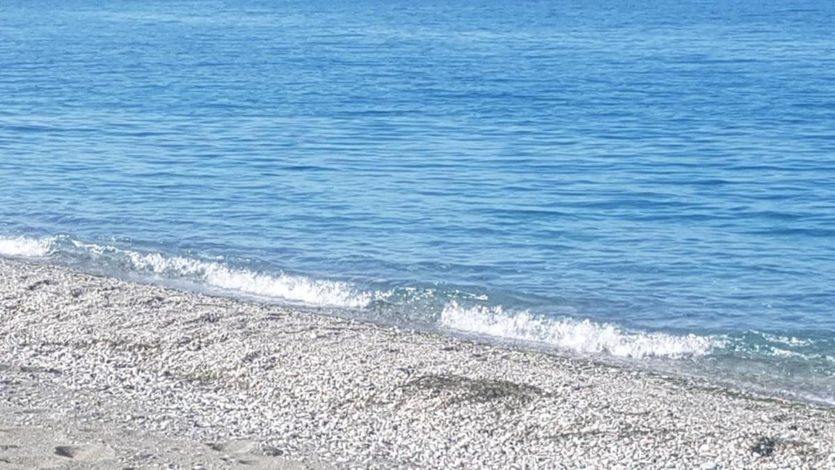 To Giouli Hotel Volos Buitenkant foto